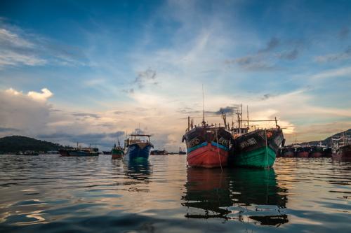北部湾沿海打造四大渔港经济区