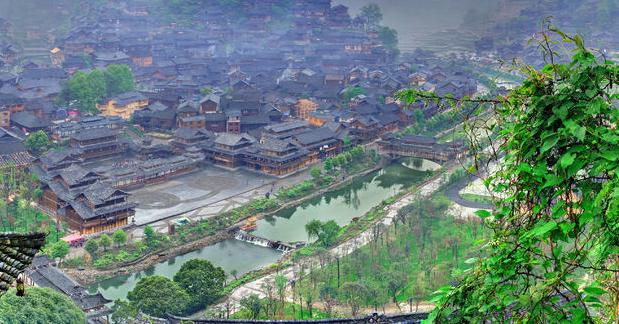 贵州赤水：集体经济为民谋实惠