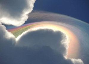 神秘的广州云港城　关于富力“串标”事件始末