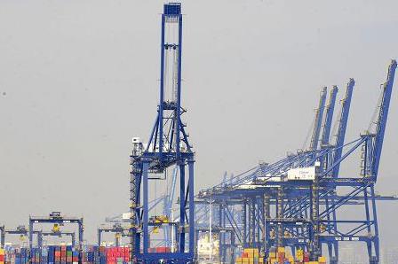 大连海参大量被“热”死　直接经济损失68.7亿元