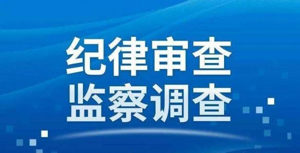 原海南国土环境资源厅副巡视员唐文智接受审查调查