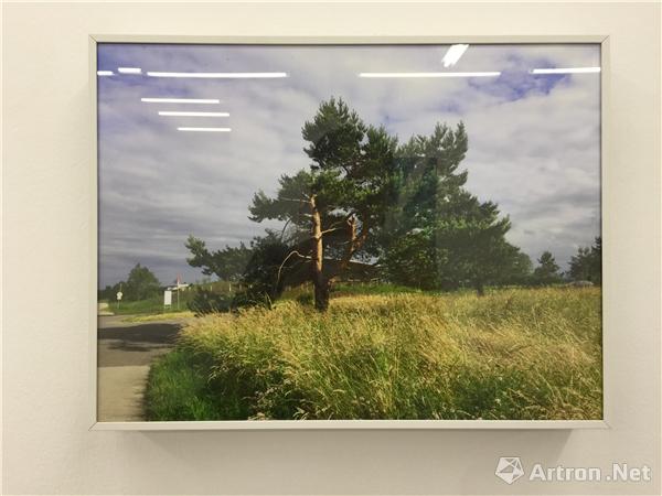 马文婷展出作品