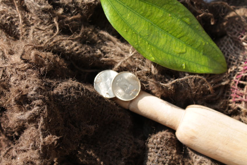 广西部署推动规划设计下乡服务活动