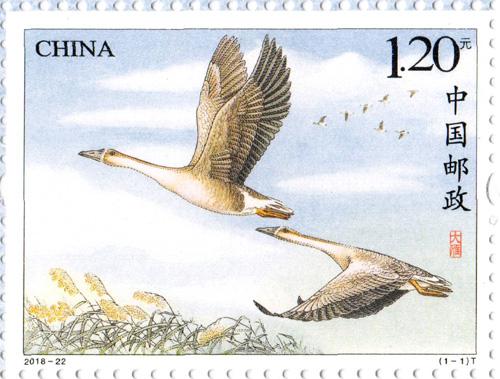 大雁(单枚) 大雁(单枚)