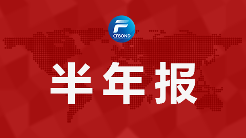 迪瑞医疗：上半年净利润同比增长11.4%