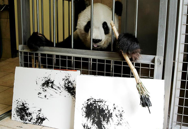 奥地利动物园内大熊猫作画 一幅卖数千元
