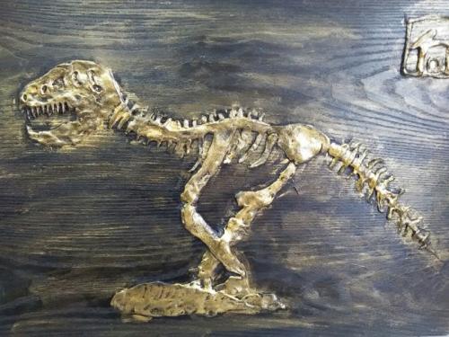 河北丰宁发现1.3亿年前疑似新属种恐龙化石