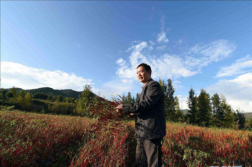 Across China: Rural credit system brings financial services to farmers