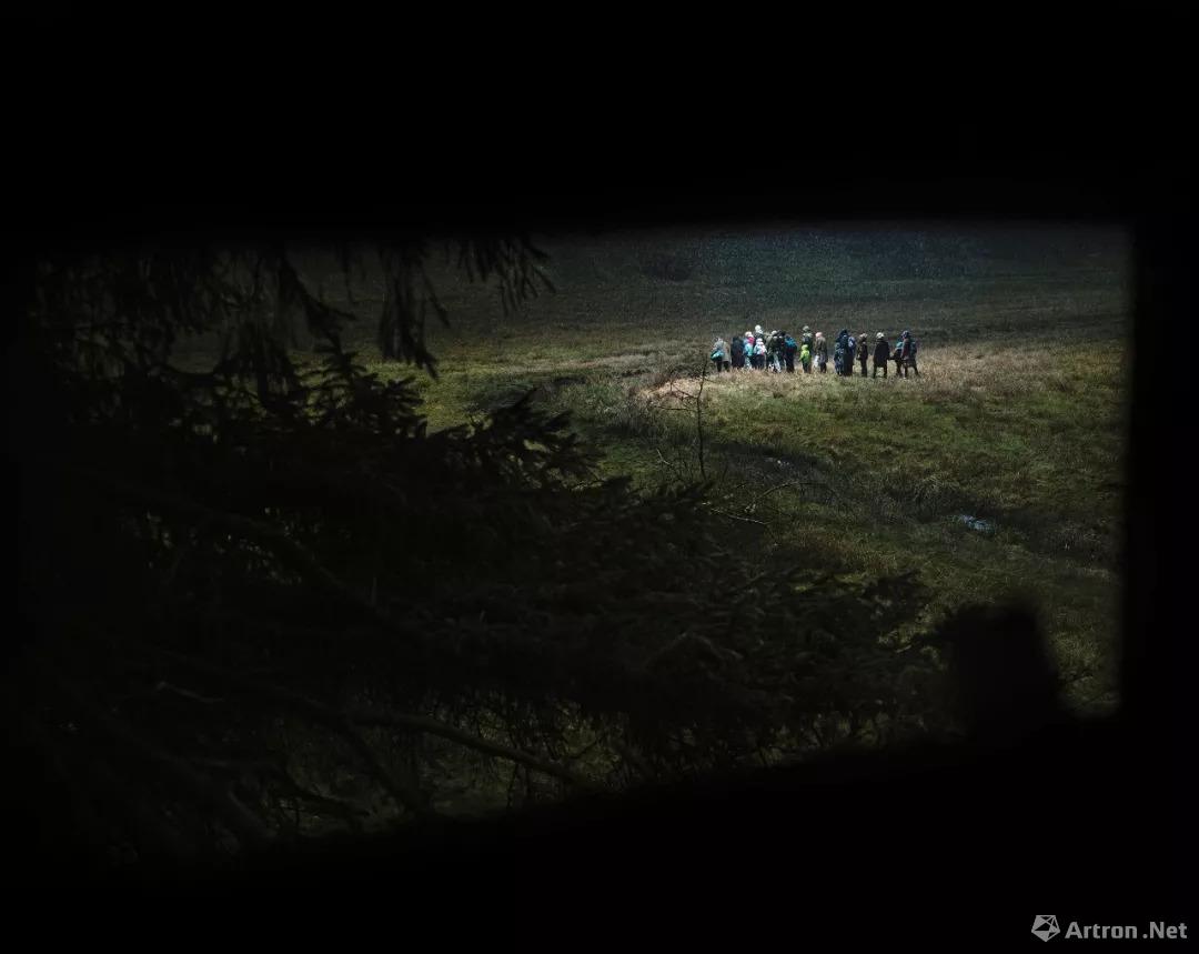 《森林之三》 “德国森林”系列 2016 《森林之三》 “德国森林”系列 2016