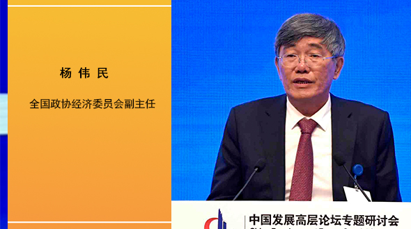 杨伟民：产权制度改革和市场化改革必须同步