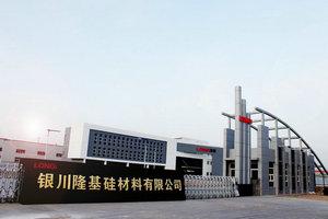 科技部部长王志刚考察银川开发区隆基硅材料有限公司