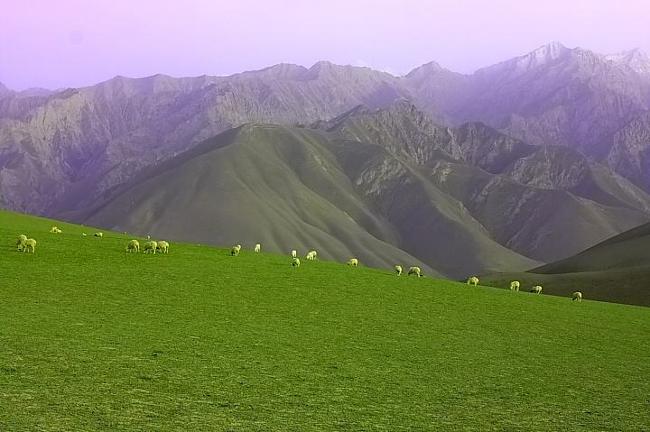 昆仑山上“红新村”