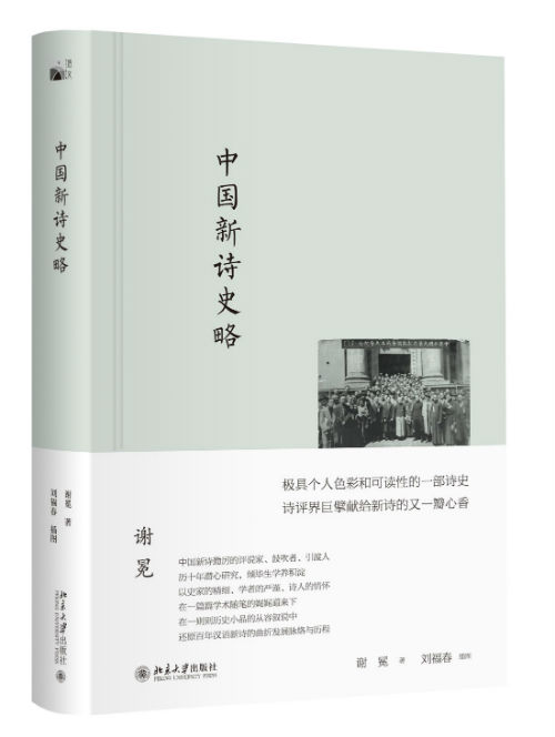 《中国新诗史略》   谢冕 著  刘福春 插图   北京大学出版社