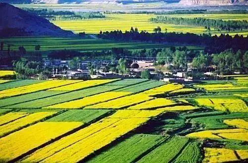国务院批复进一步支持杨凌农业高新技术产业示范区发展若干政策
