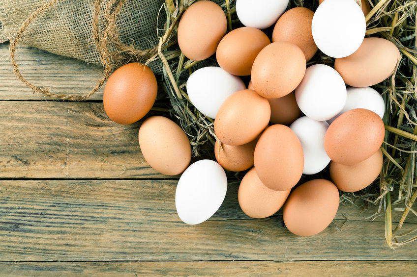 需求向好 鸡蛋期货短期仍乐观