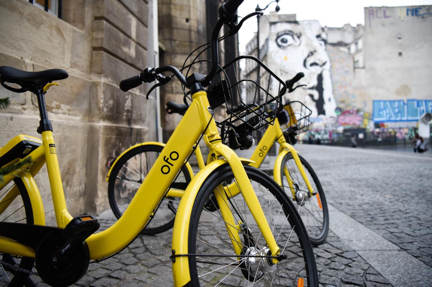 No threat of bankruptcy, says Ofo founder Dai Wei
