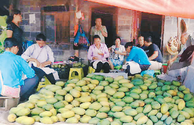 “金果果”助贵州乡村脱贫