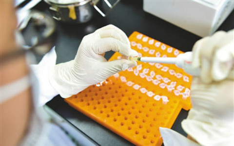 约30亿元收购资产 八菱科技押宝生物细胞产业