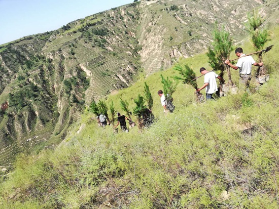 生态扶贫：山西大宁购买式造林让村民在绿水青山中富起来