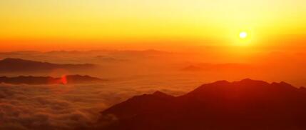 新年献词:青山不老 信有春来报