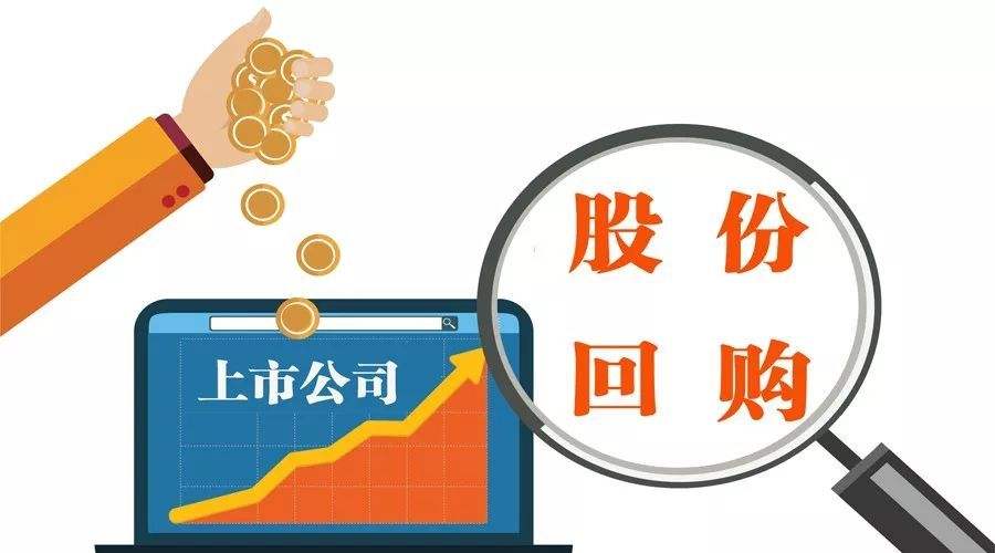 龙蟒佰利已耗资6.63亿元回购2.46%股份