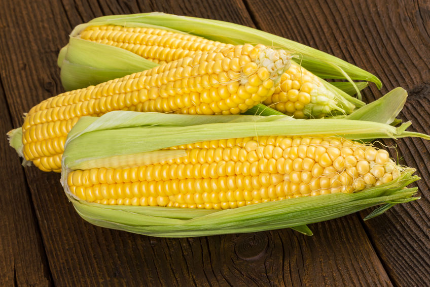 衍生品多元化发力 玉米期权学习掀热潮