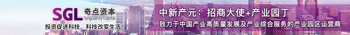 奇点资本