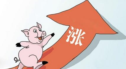 生猪产业链涨势喜人 多家公司获机构调研