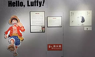 解密四川博物院首开商业展背后：《航海王》特展为何爆火