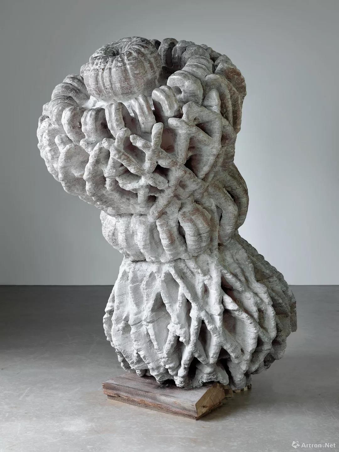 罗伯特·库奇，《SS(VIIZ)d》，2012，©️罗伯特·库奇，图片：艺术家、豪瑟沃斯，摄影：Alessandra Sofia