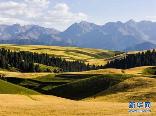 张近东代表：推进农业产业化发展 助推地方品牌建设