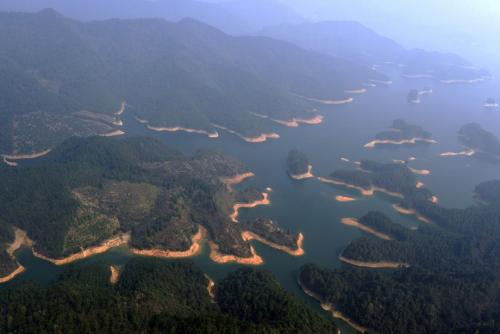 昔日明星乐视体育让众多投资者踩雷 凯撒旅游1亿元基金份额1元钱转让
