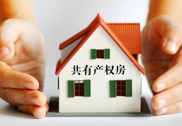 上海今年将在全市推广非沪籍家庭申请共有产权房