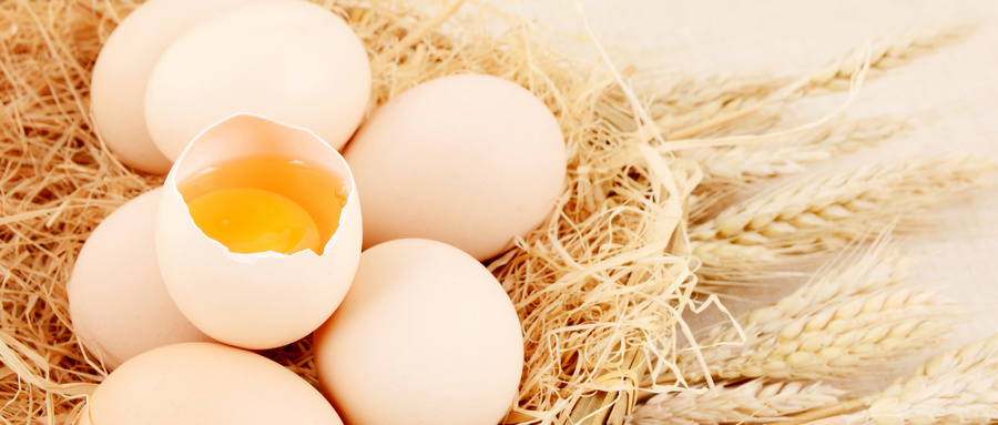 5月份蛋价较3月份上涨19% 鸡蛋价格为何上涨？