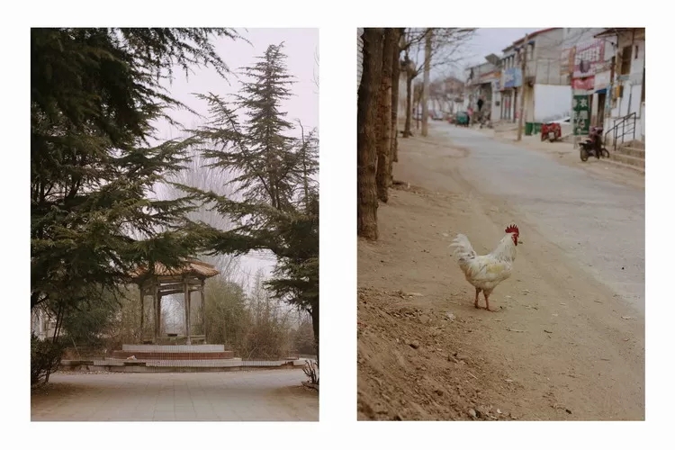 汪滢滢：寻找亲情、故土与“我”的旅程