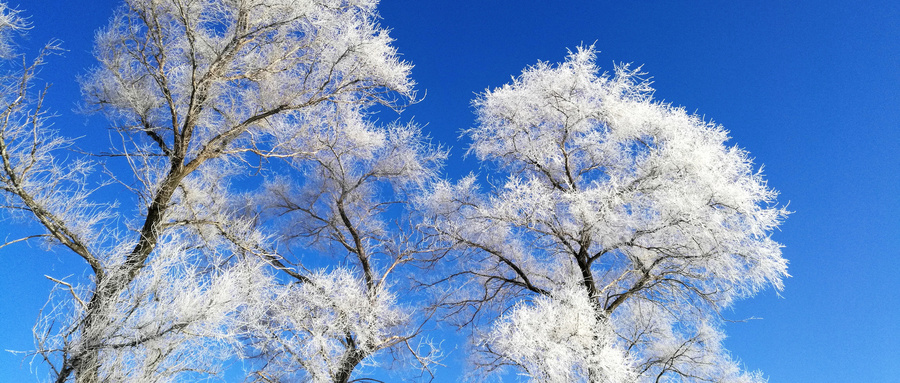 河北：加大政策支持力度推动冰雪产业做大做强