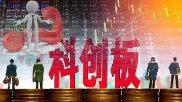 个股全线上涨 两股强势涨停 科创板再迎“满堂红”