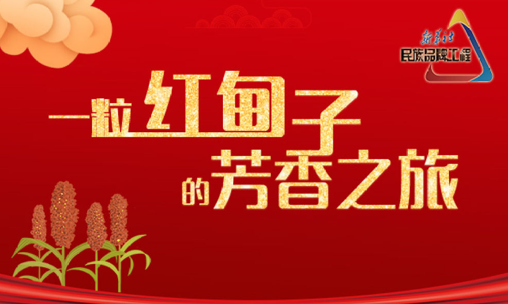 一粒红甸子的芬芳之旅