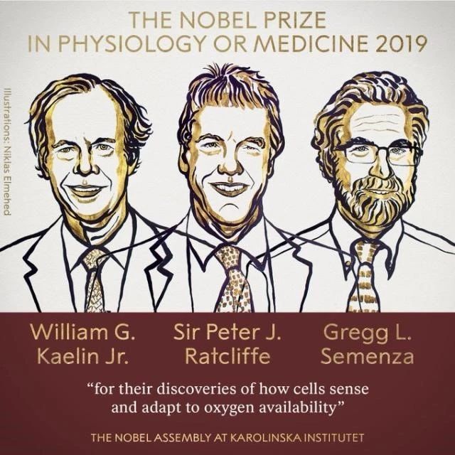 2019年首个诺贝尔奖揭晓！哪些医药股再迎风口？