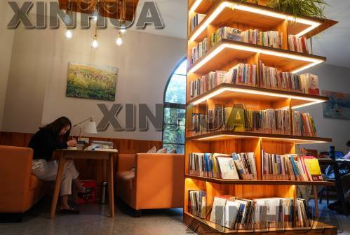 “中国古典文学给了我很大启发”