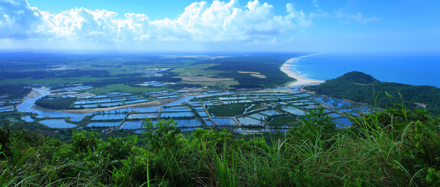 汾酒传承诚信酒文化 用品质酿造出“中国酒魂”
