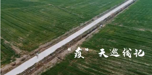 《“疫”天巡线记》