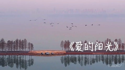 MV《爱的阳光》致敬抗疫一线医护英雄