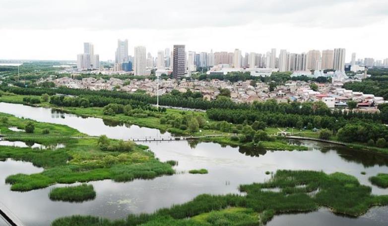走向我们的小康生活丨水清、地绿、空气新——最北省份黑龙江绘就生态治理新画卷