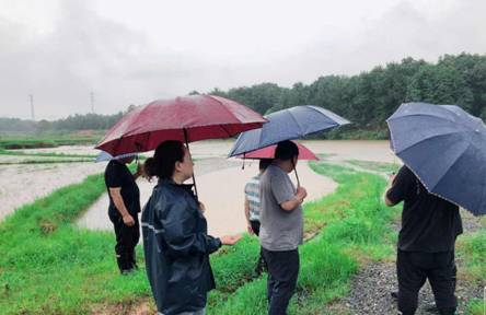 中国大地保险快速应对江西洪灾 助力受灾农户恢复生产
