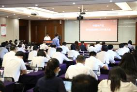 碧桂园集团党委召开第三次代表大会 10个党组织100名党员获抗疫先进表彰