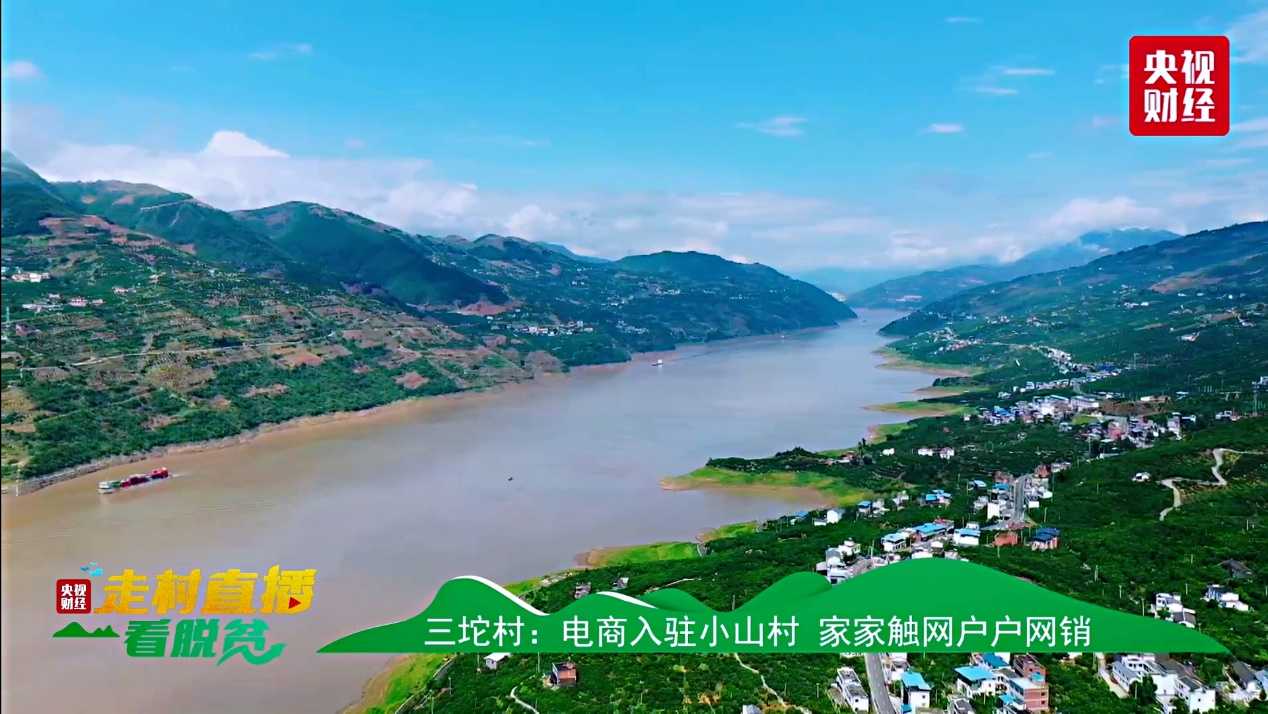 央视直播走进奉节三沱村点赞苏宁易购赋能当地电商发展