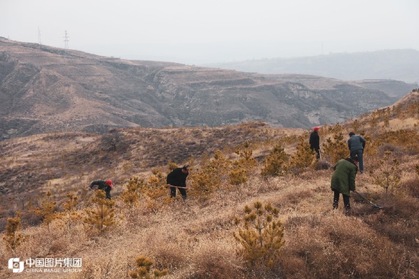 从“靠山吃山”到“靠山养山”“靠山富山”-新华印记