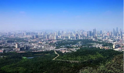 南京高端改善迎来新品 又是“抢破头”系列？