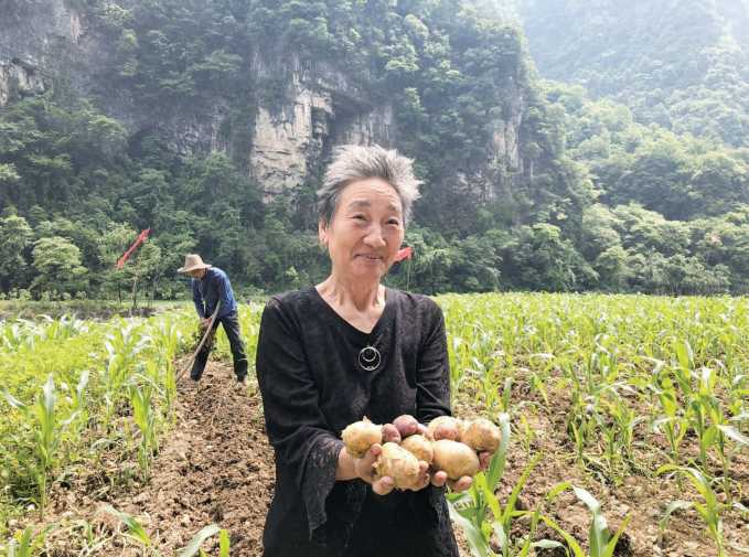 小土豆走出高山——电商平台联动农户，打造特色扶贫模式